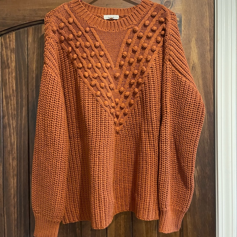 NWOT Vici Pom-Pom sweater